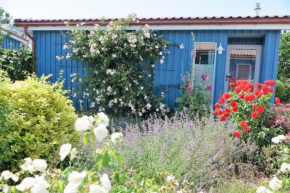 Möve Aba Bungalow 67, Rerik